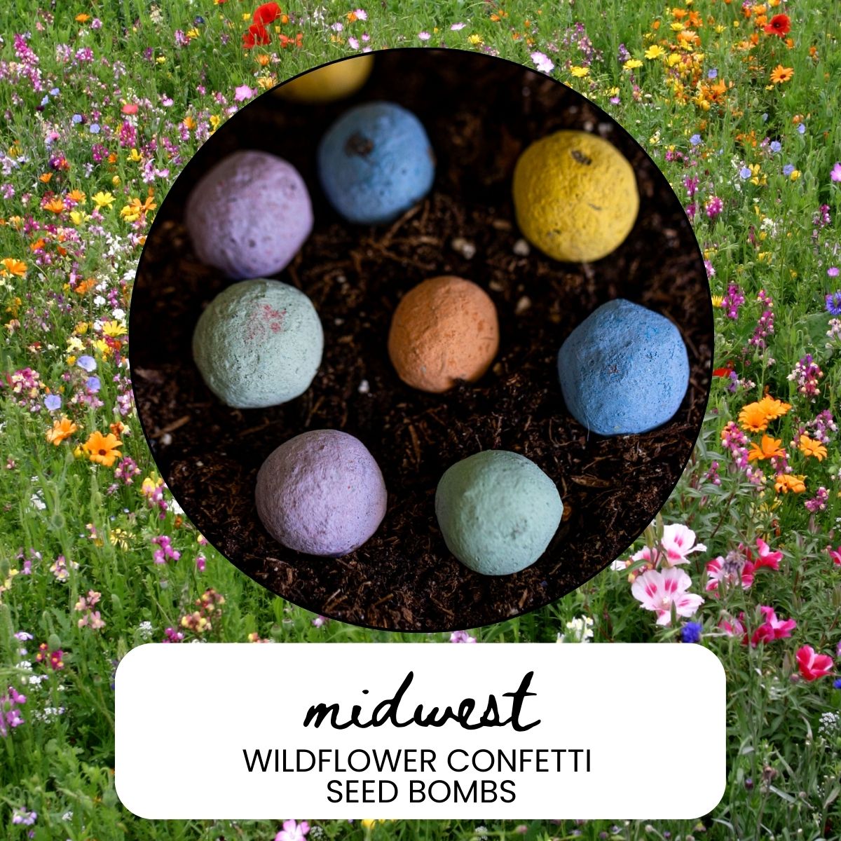 Grow a Pollinator Paradise with Midwest Wildflower Seed Balls
