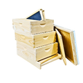 10-Frame All-Medium Box Hive Kit