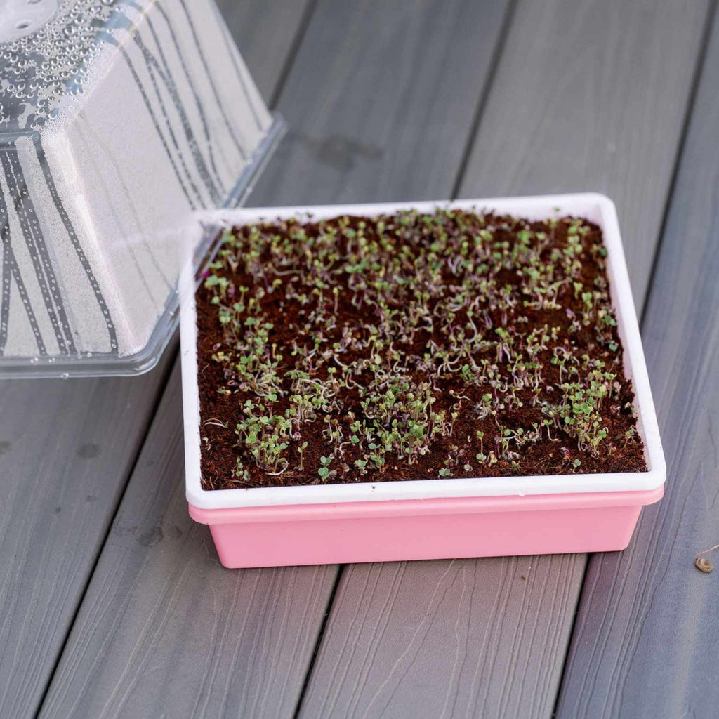 1010 Trays 2.5" Deep - Extra Strength