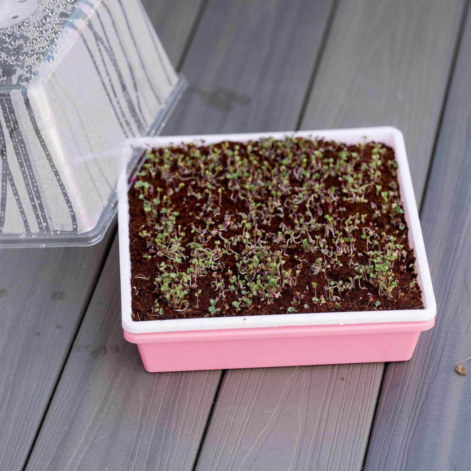1010 Trays 2.5" Deep - Extra Strength