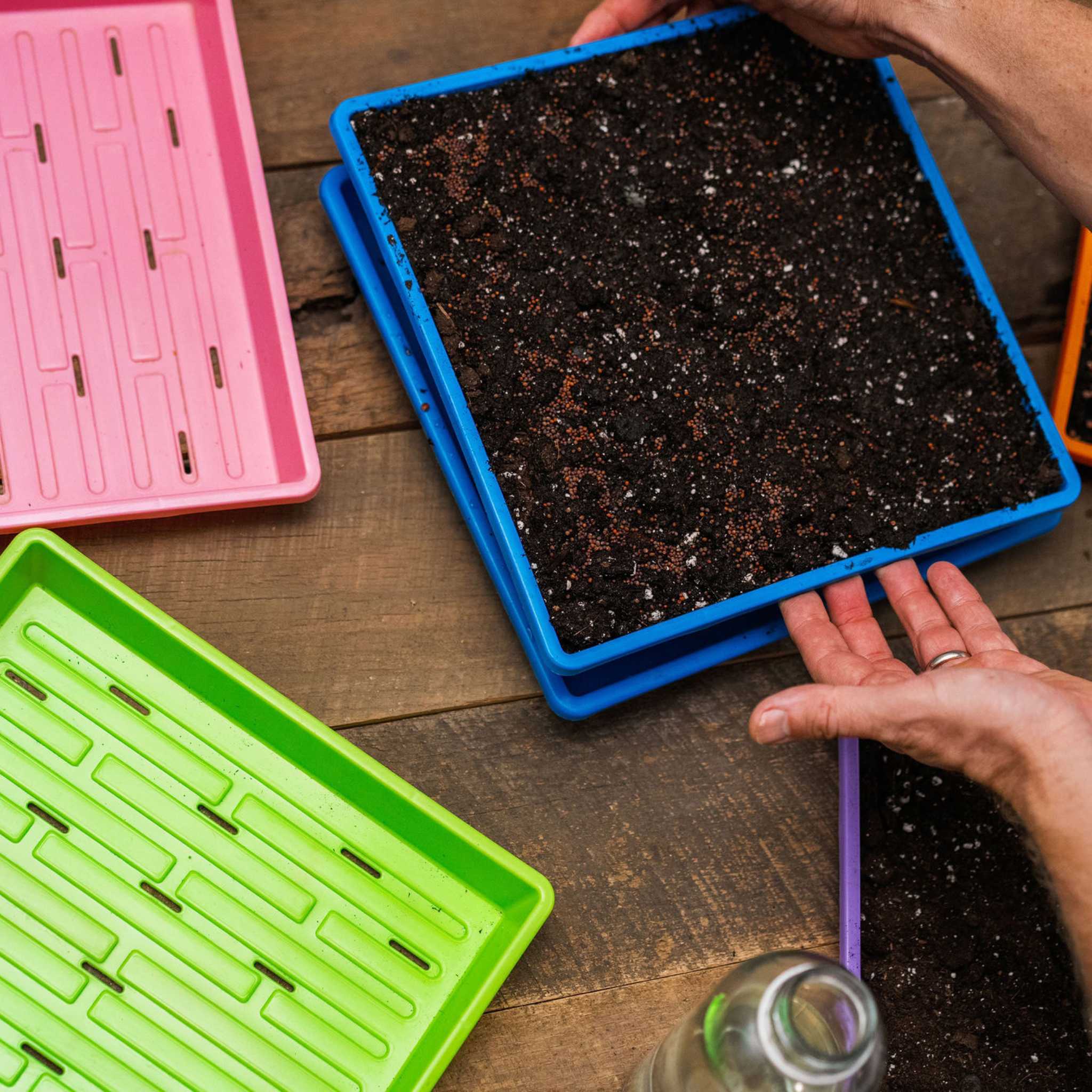 1010 Extra Strength Shallow Seed Trays