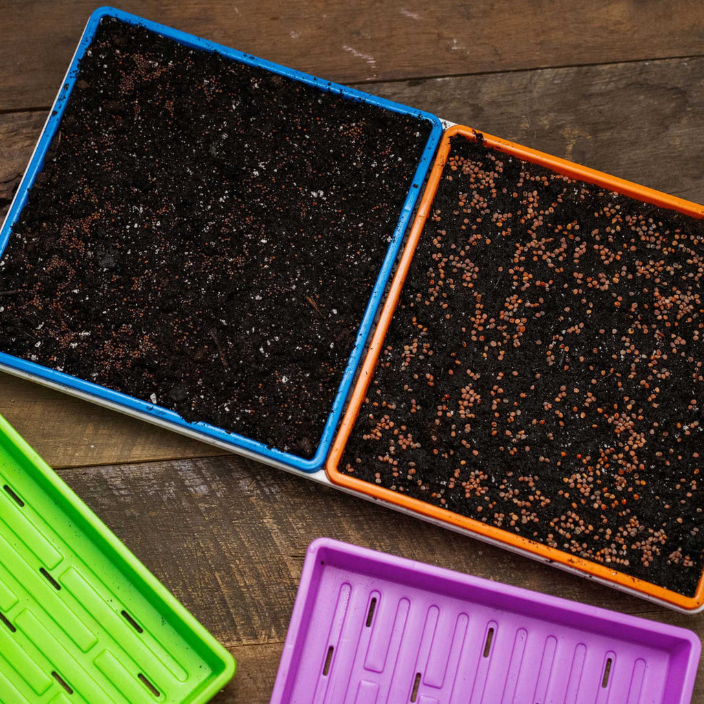 1010 Extra Strength Shallow Seed Trays