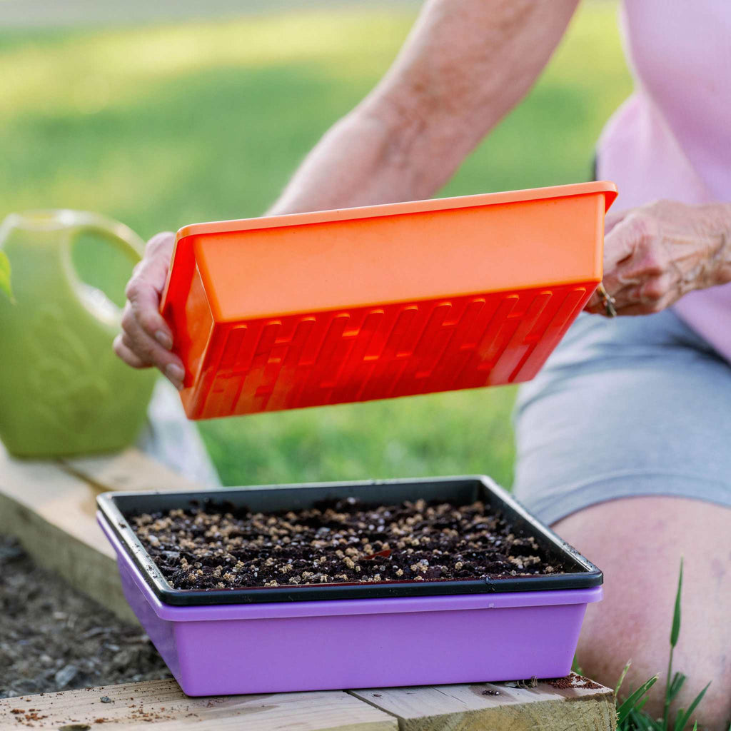 1010 Trays 2.5" Deep - Extra Strength