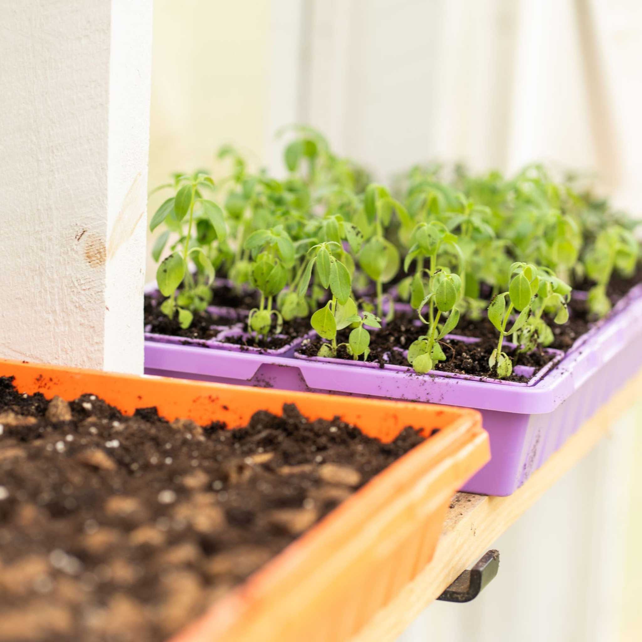 1020 Extra Strength Trays - Colors