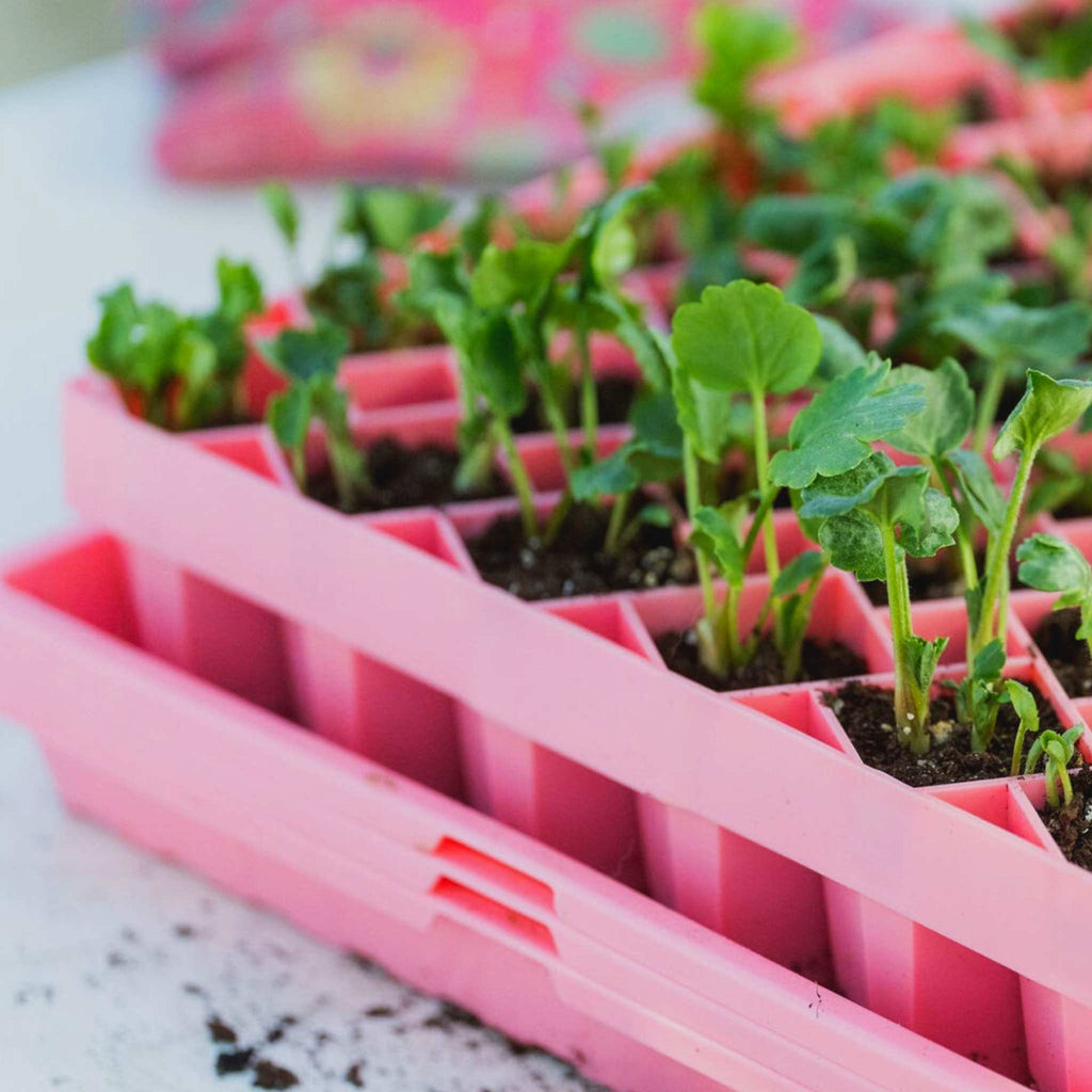 Air Prune Heavy Duty Propagation Tray - 72 Cell