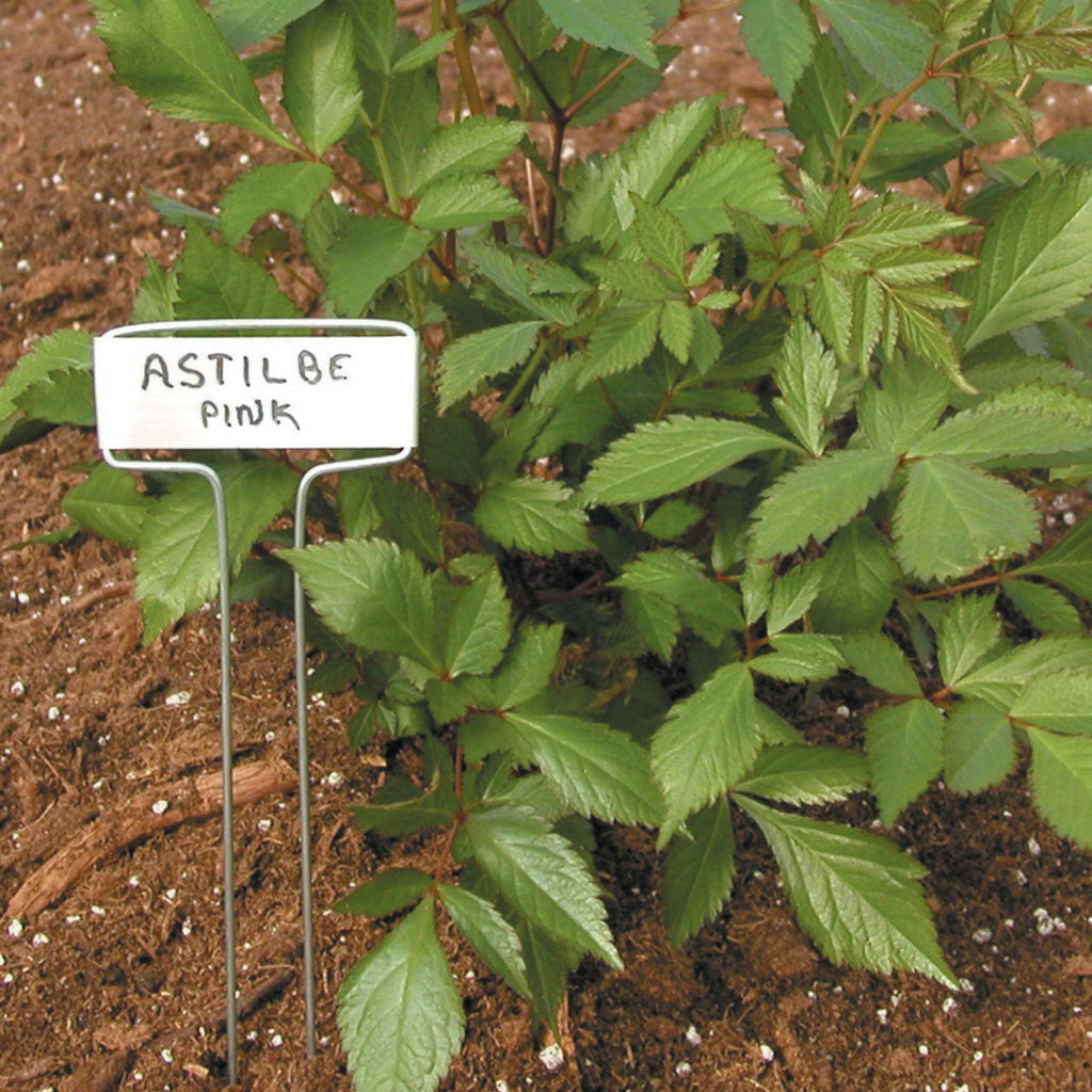 Luster Leaf Classic Impressions Garden 10" Plant Labels | Copper or Zinc 10 Pk.