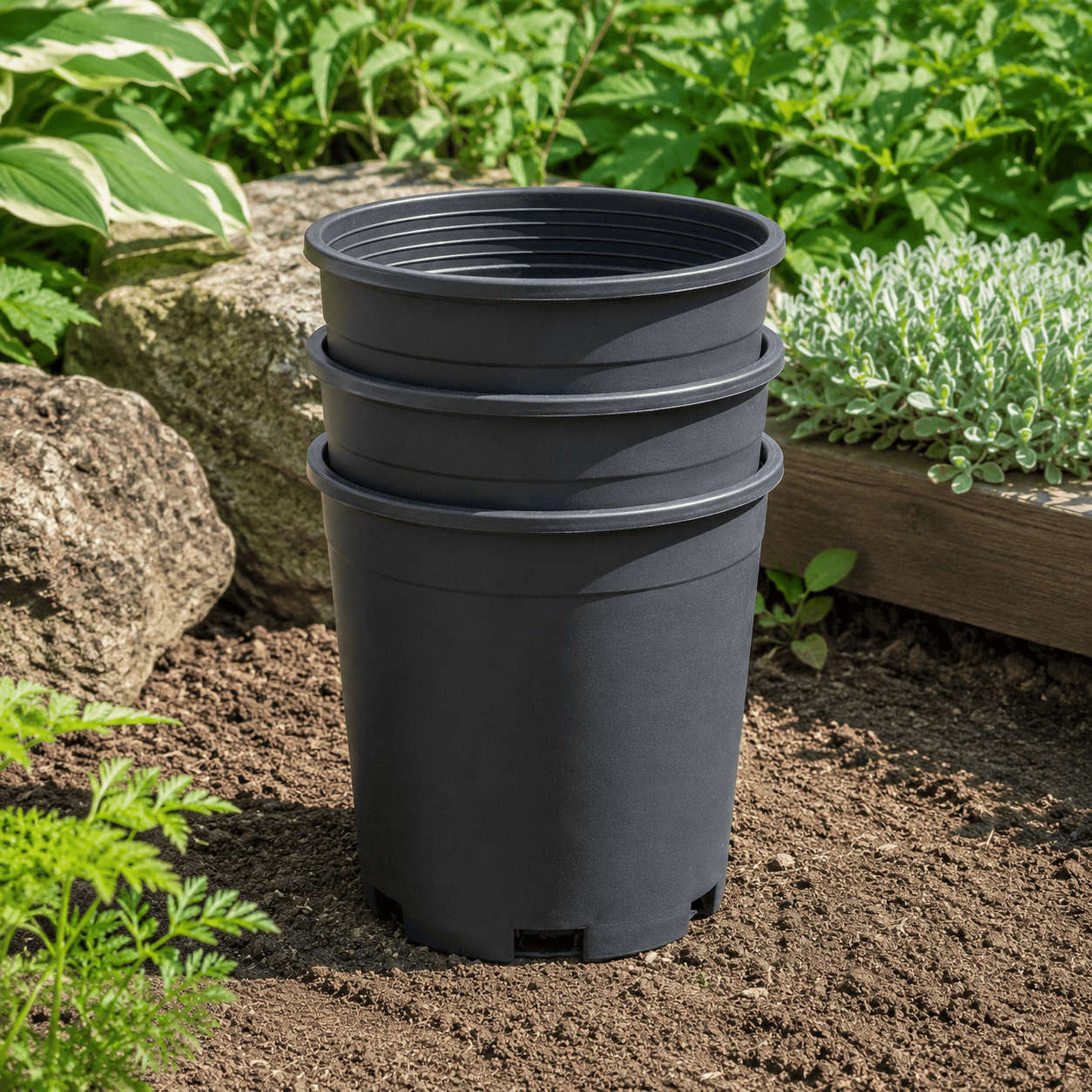 1 Gallon Pot (Black Plastic)