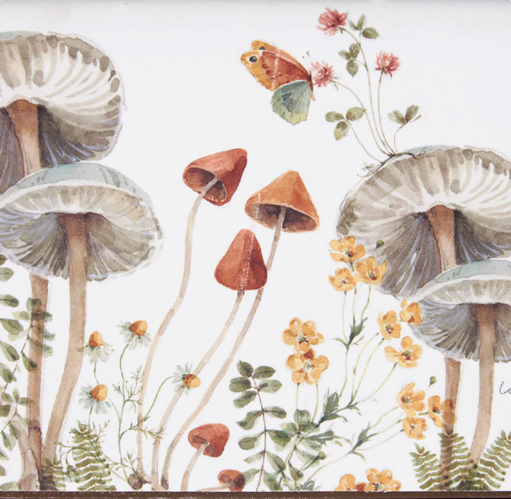 Mushroom Study Bin - Small - 18 x 4 x4"