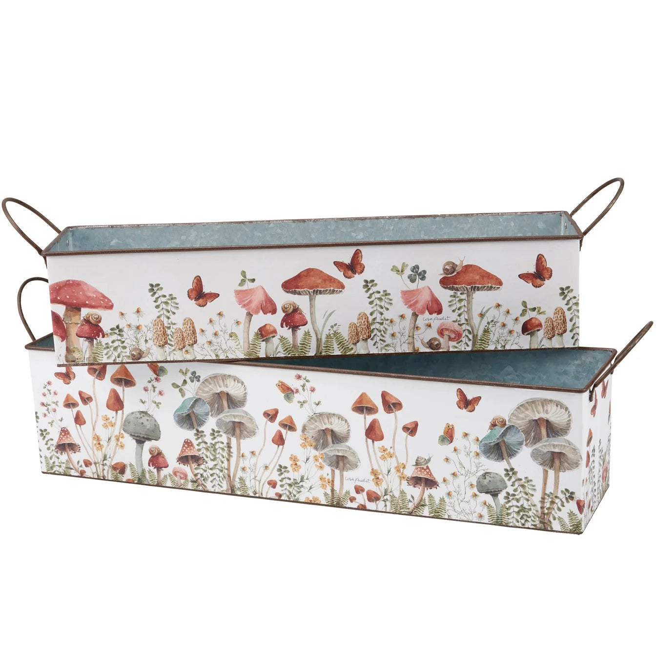 Mushroom Study Bin - Small - 18 x 4 x4"
