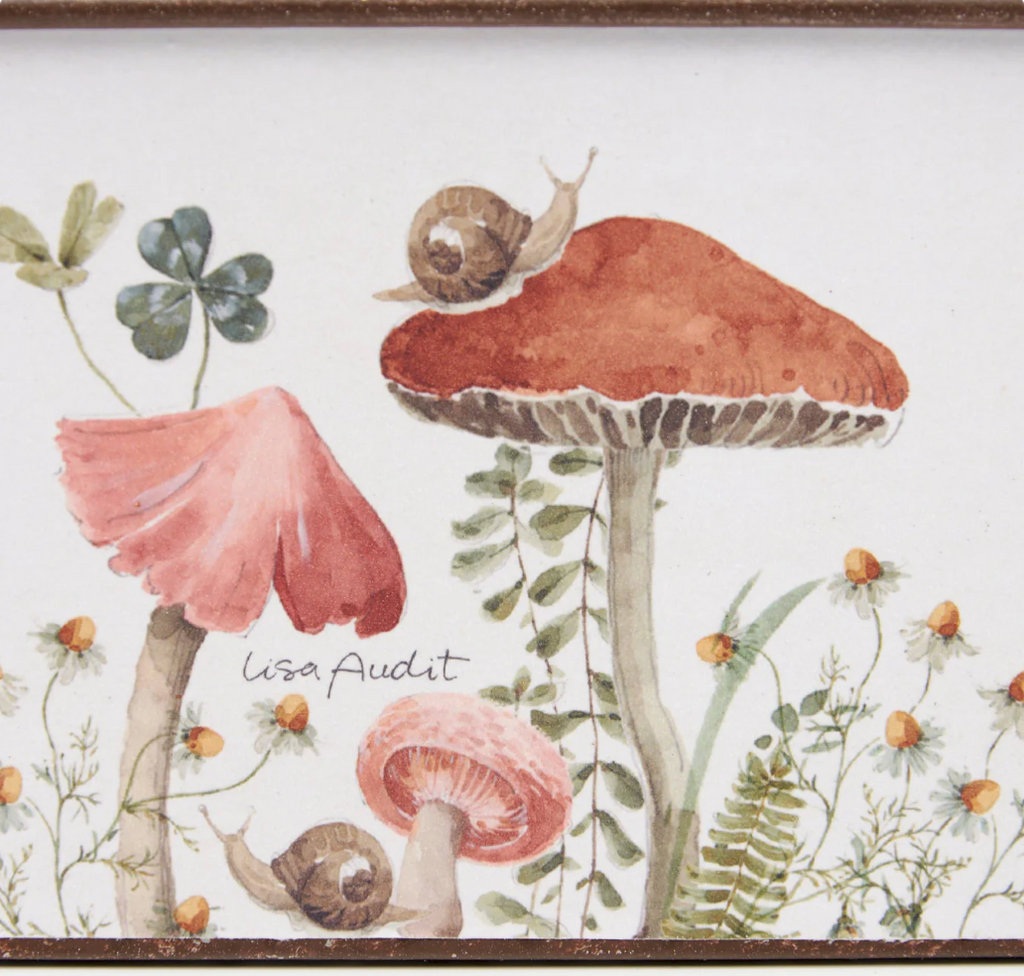Mushroom Study Bin - Small - 18 x 4 x4"