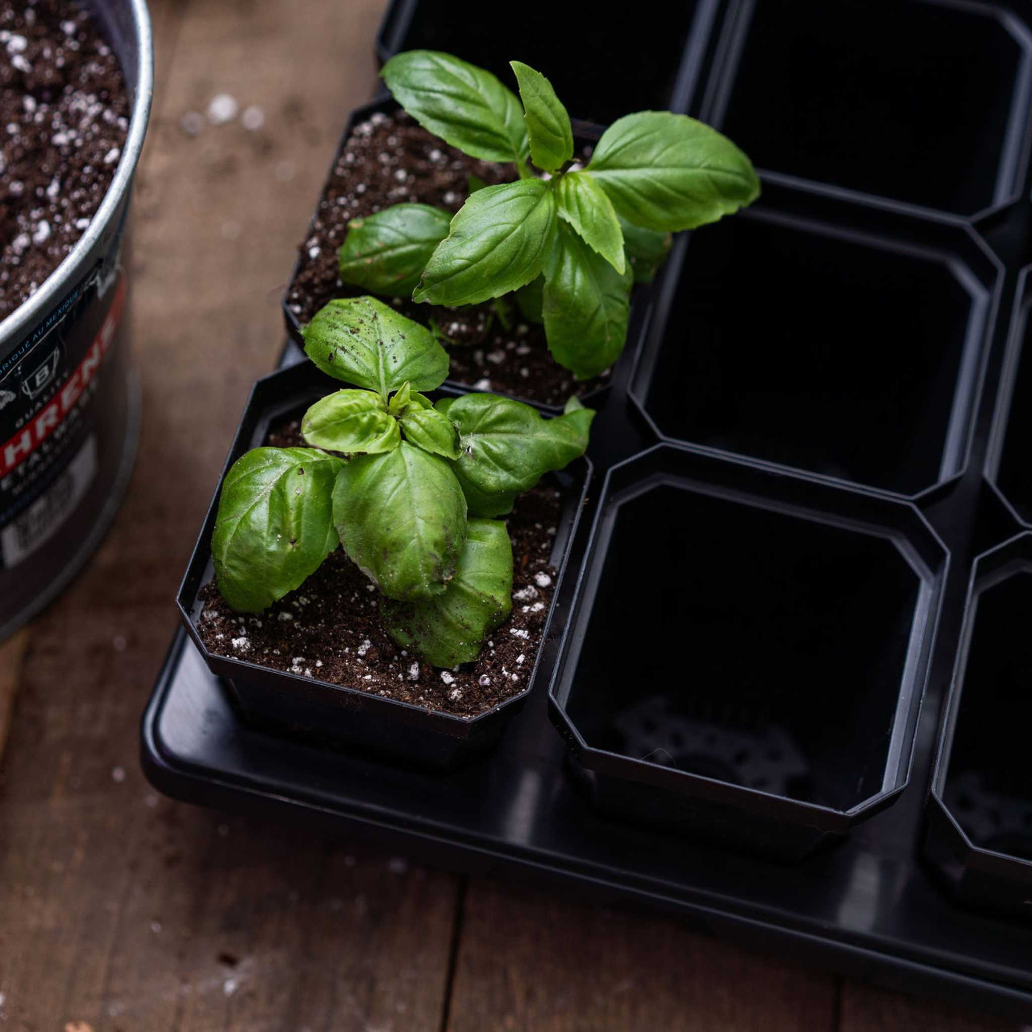 3.3" Heavy Duty Seed Starting Pots