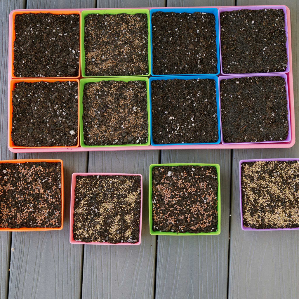 5X5 Extra Strength Shallow Microgreen Trays