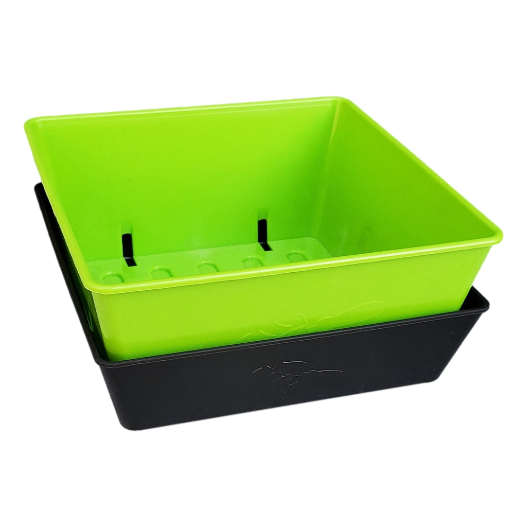 5X5 Extra Strength Shallow Microgreen Trays