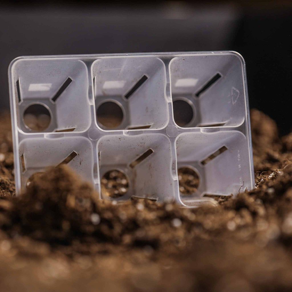 6 Cell Plug Tray Inserts