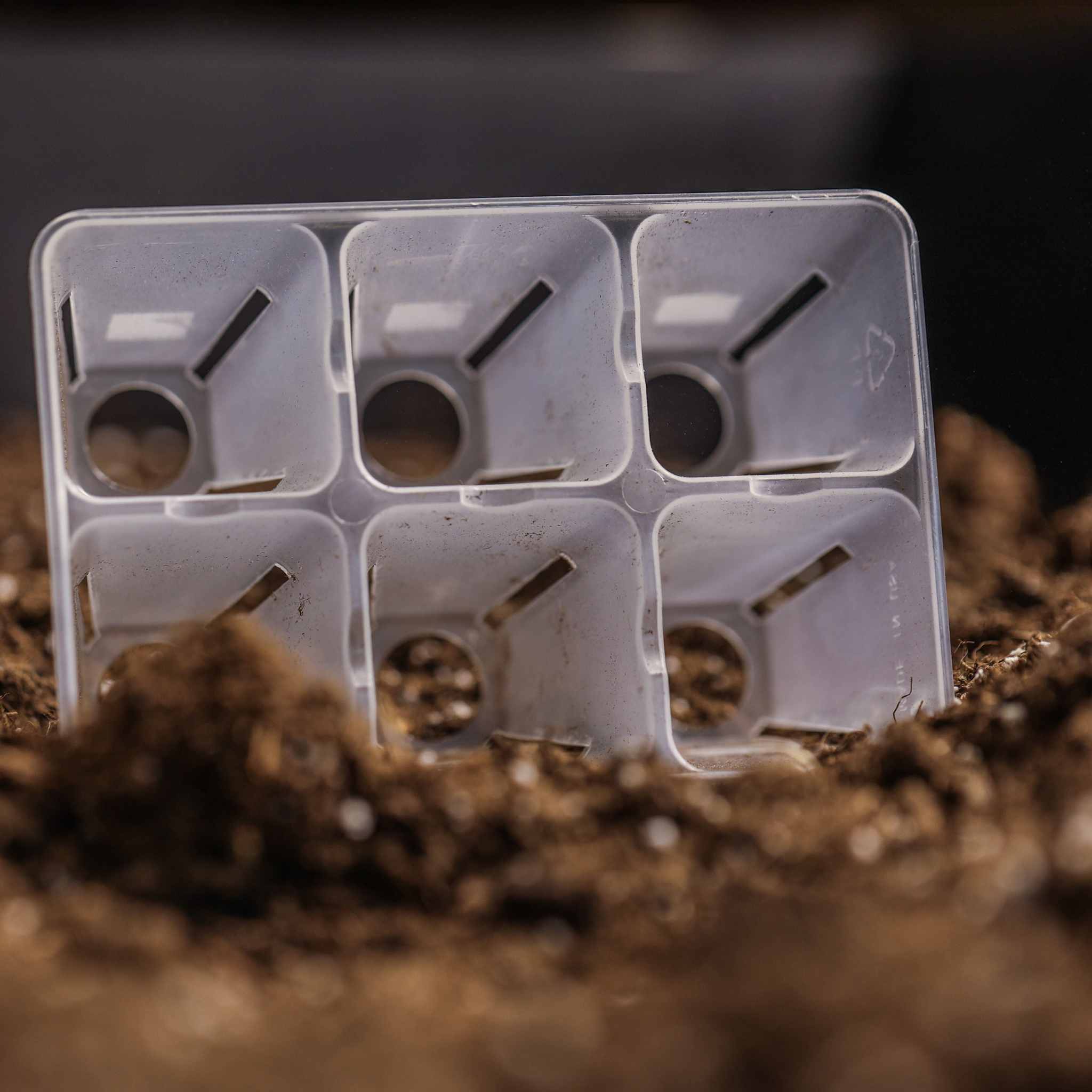 6 Cell Plug Tray Inserts