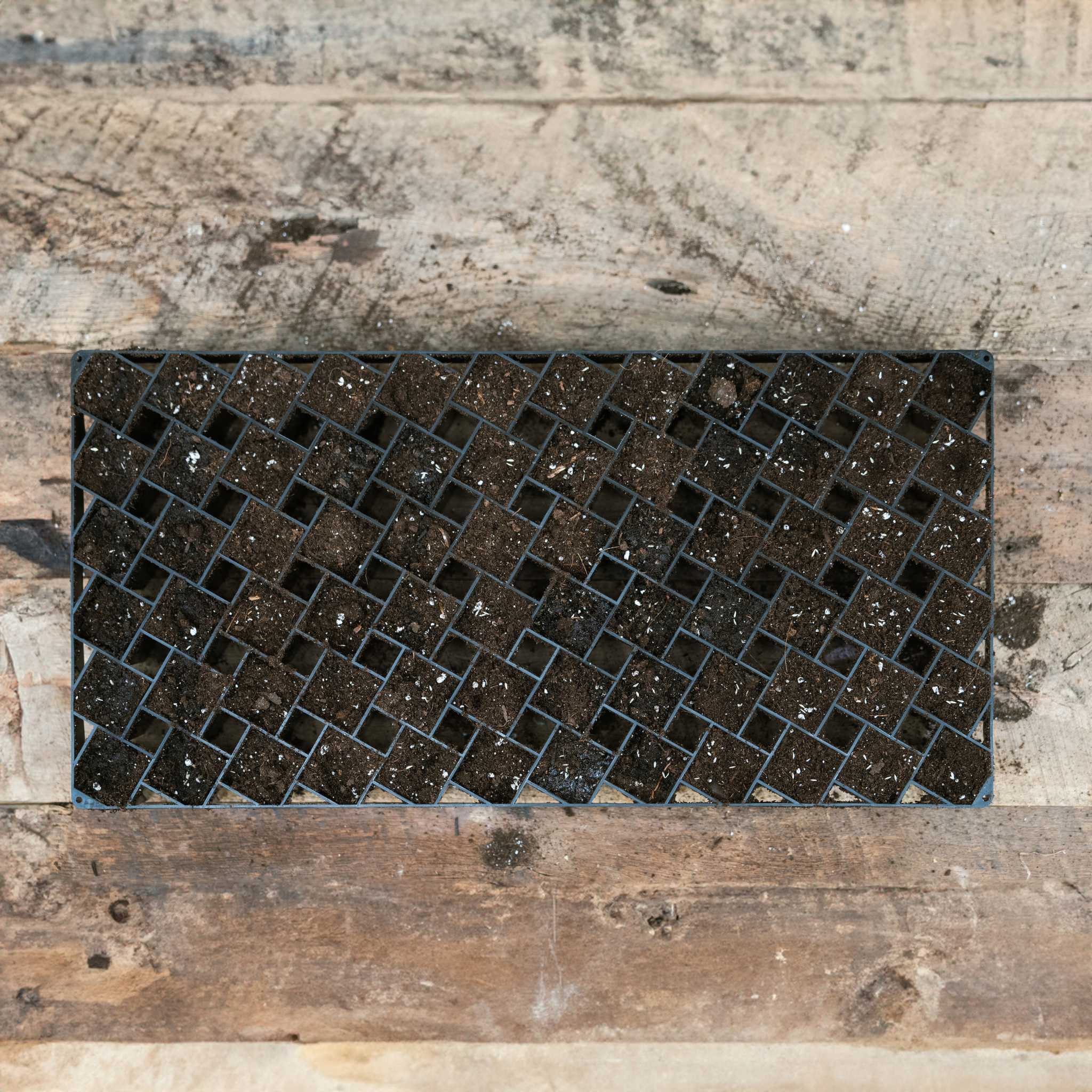 Air Prune Heavy Duty Propagation Tray - 72 Cell