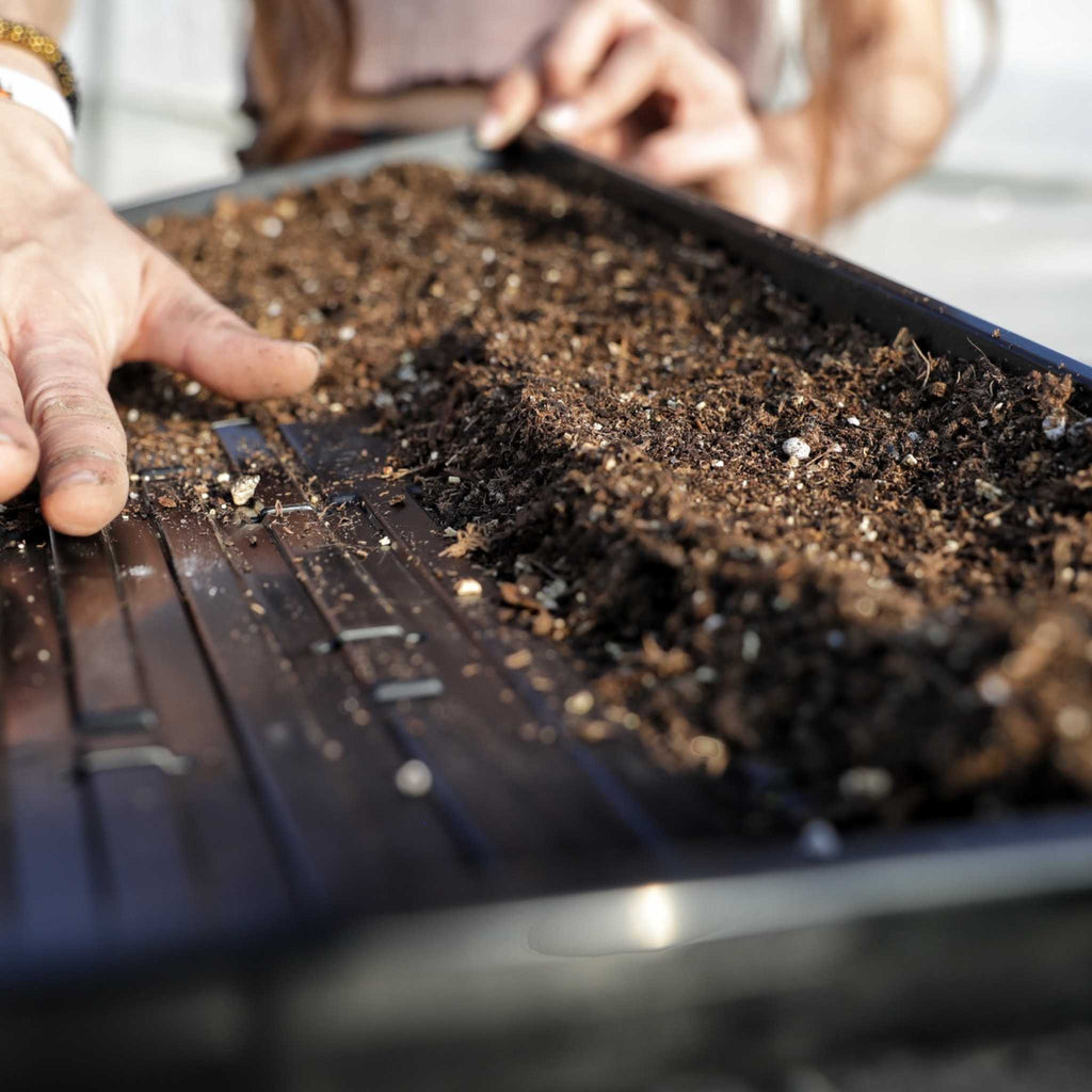 1020 Microgreen Trays | Extra Strength Shallow 1020 Trays