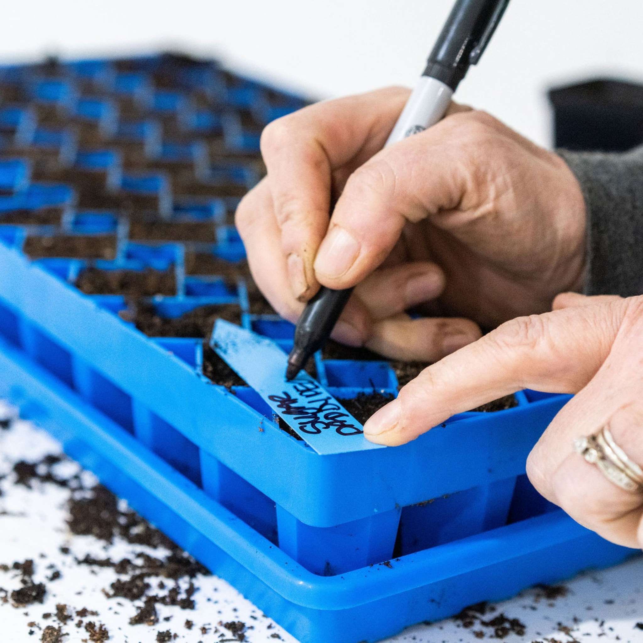 Air Prune Heavy Duty Propagation Tray - 72 Cell