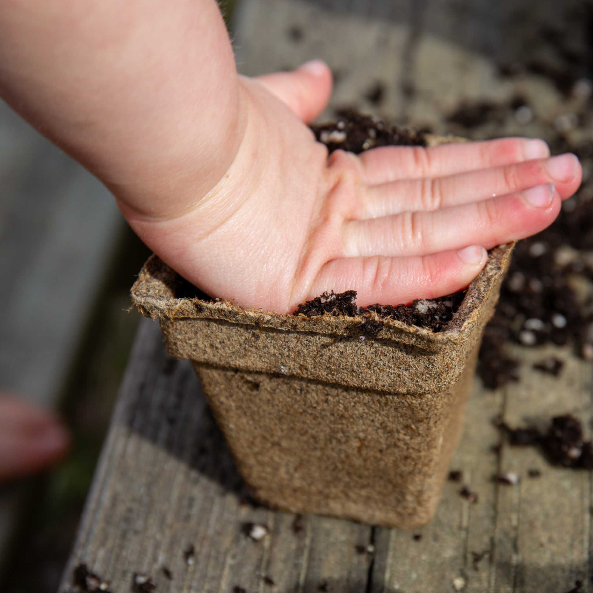 CowPots® Starter Kit