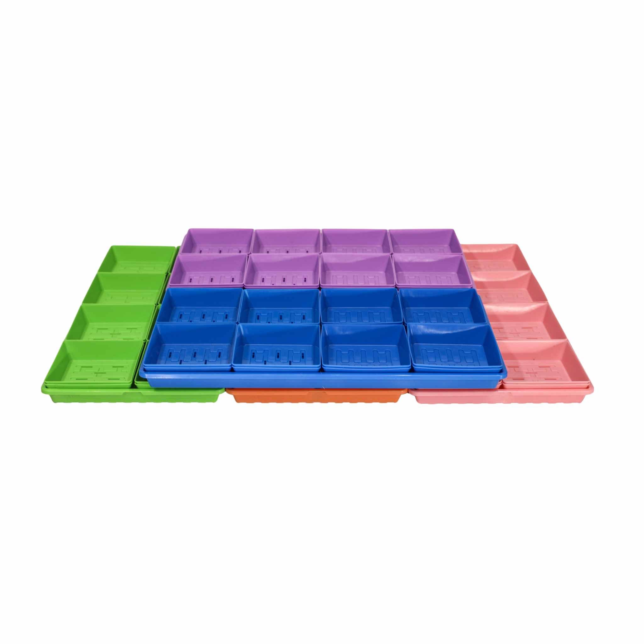Classroom Microgreens Bundle