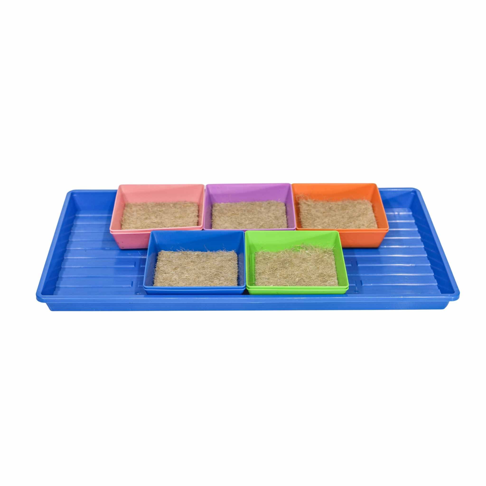 Classroom Microgreens Bundle