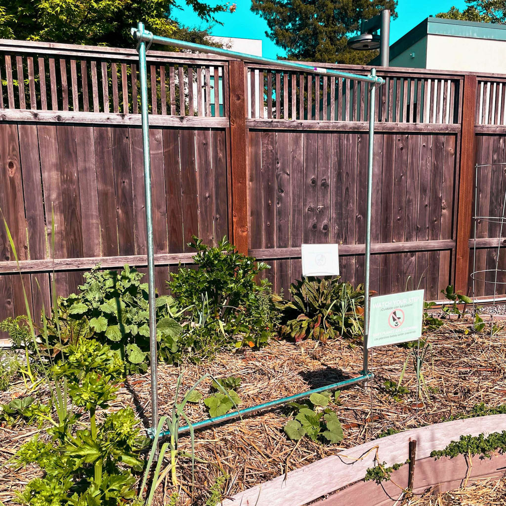 DIY Vine Trellis