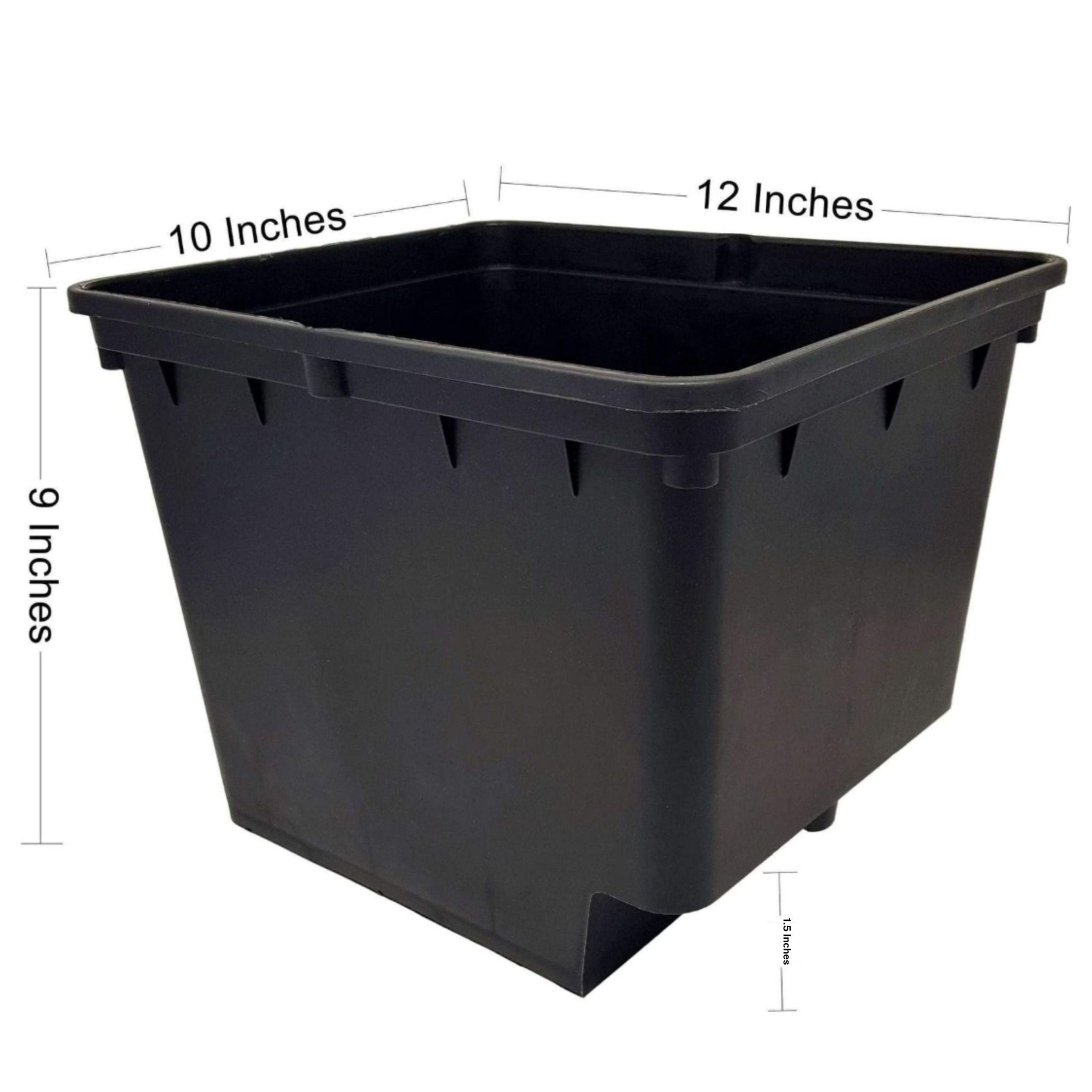 Dutch Bucket