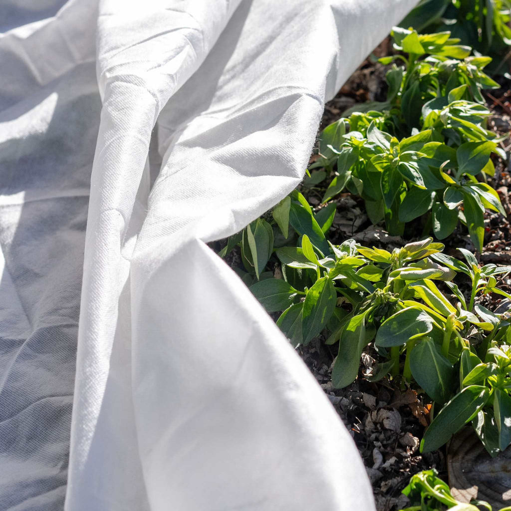 Frost Blankets