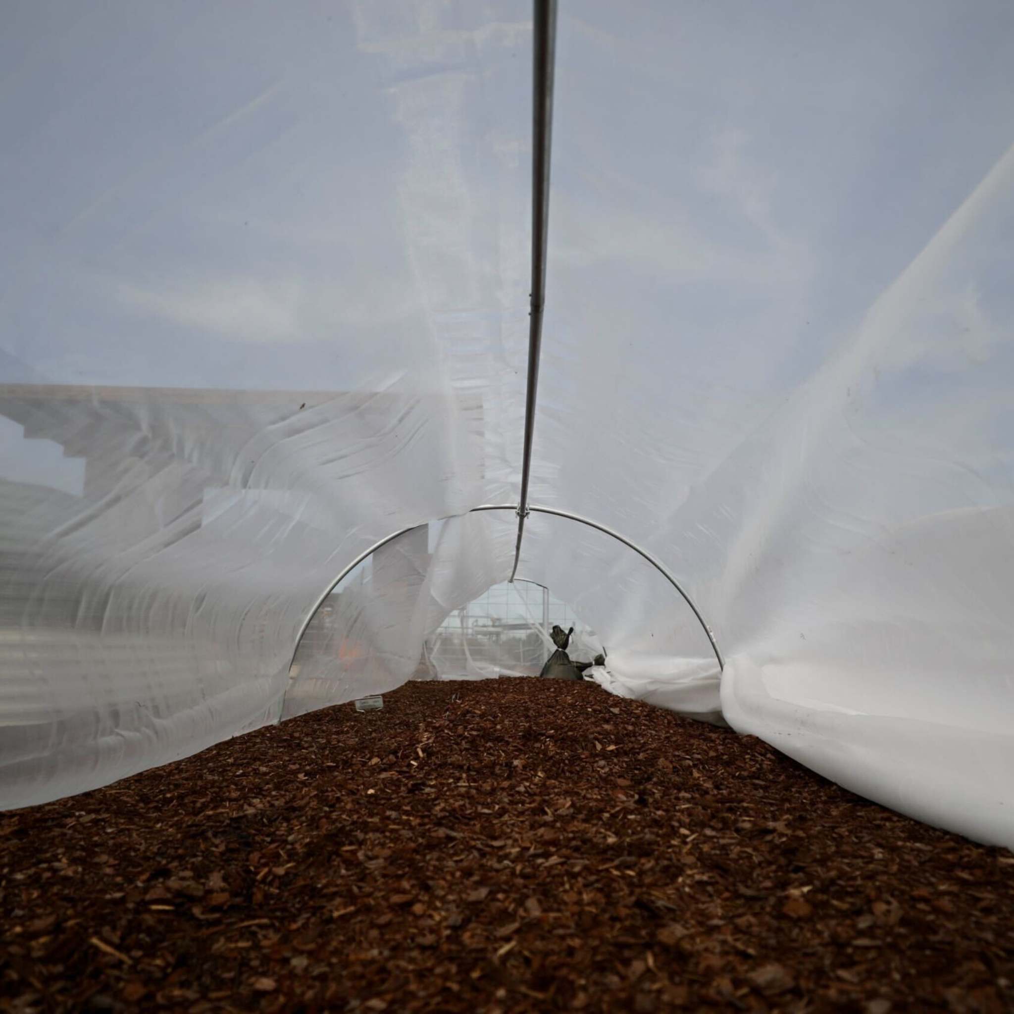 Heavy-Duty Insect Netting