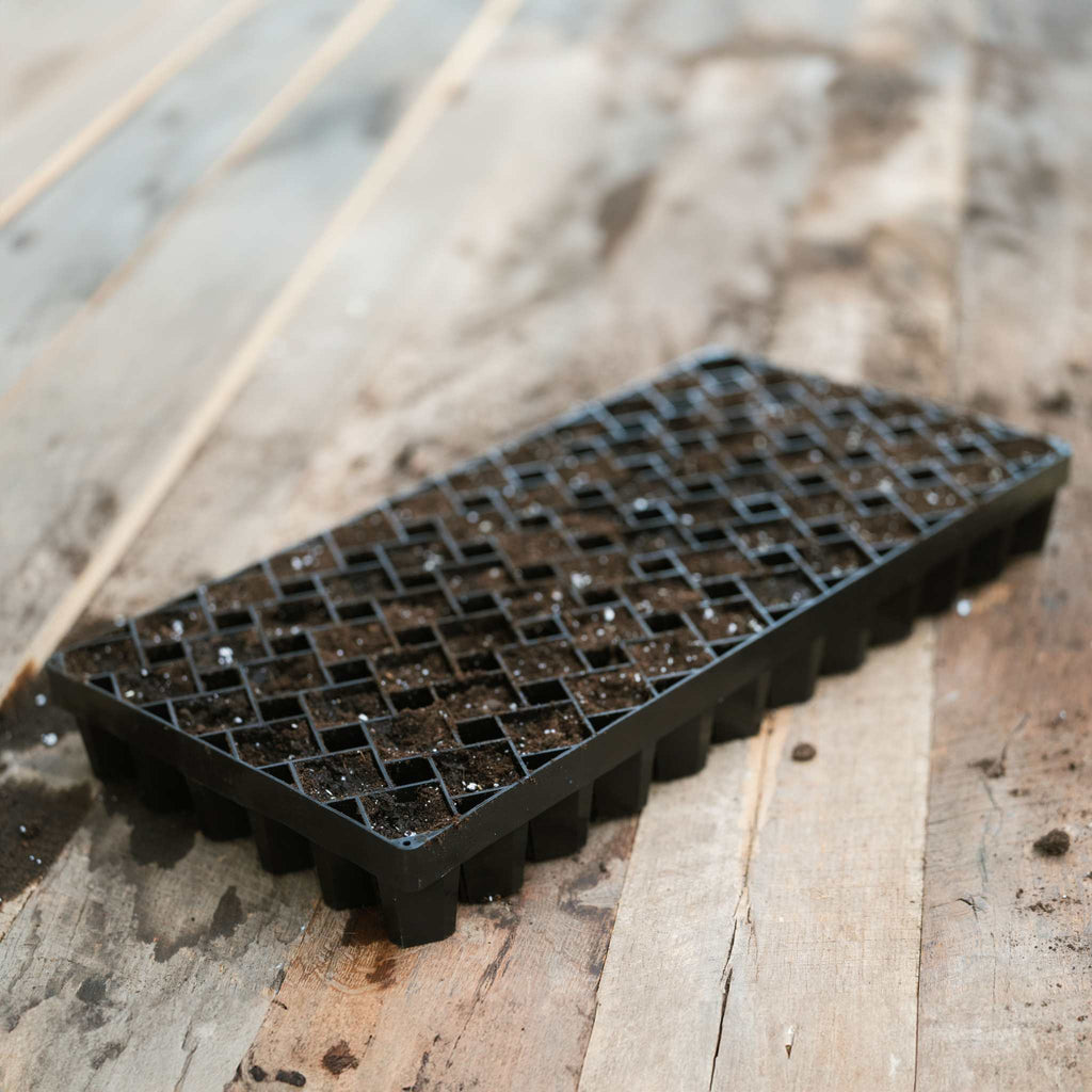 Air Prune Heavy Duty Propagation Tray - 72 Cell