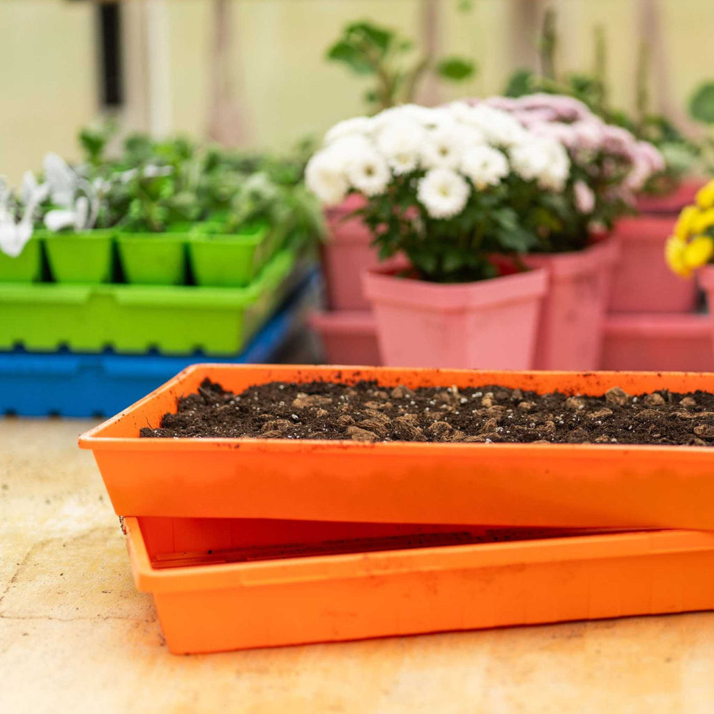 1020 Extra Strength Trays - Colors