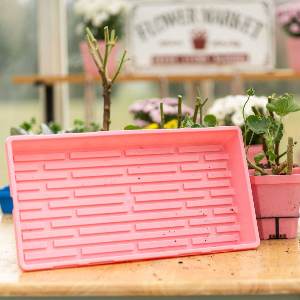 1020 Extra Strength Trays - Colors