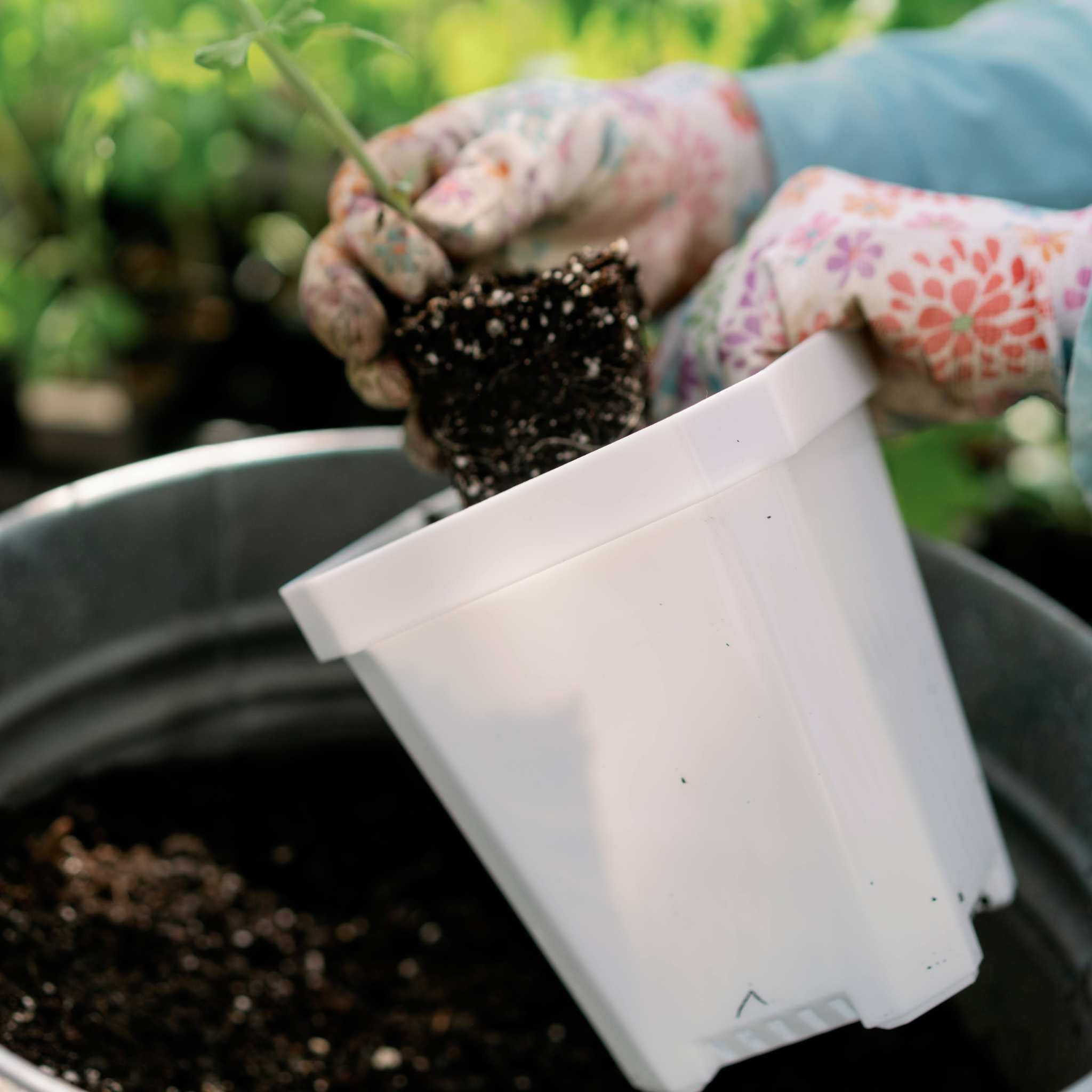 5" Heavy Duty Nursery Pots