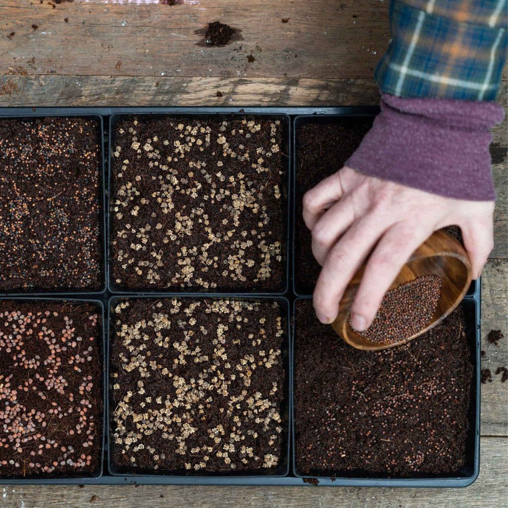 5X5 Extra Strength Shallow Microgreen Trays