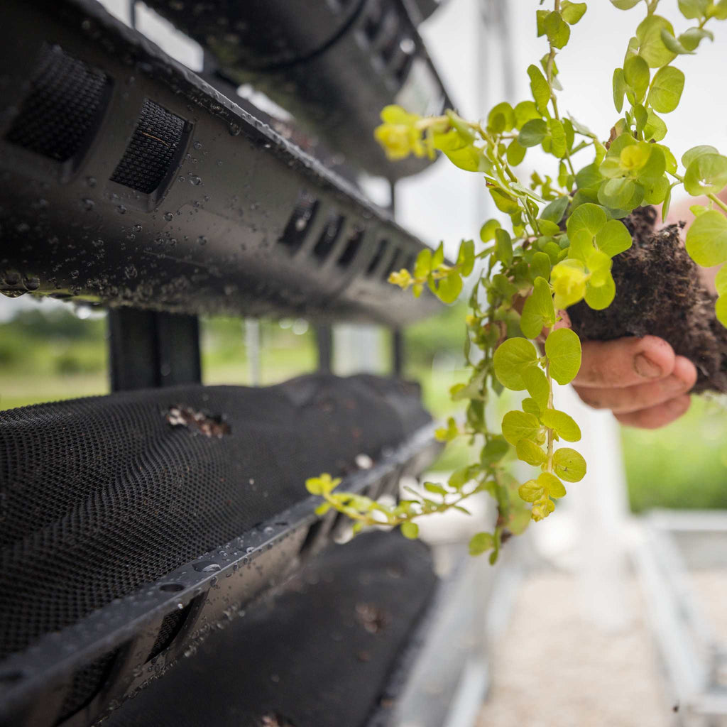 Varden™ Kitchen Garden