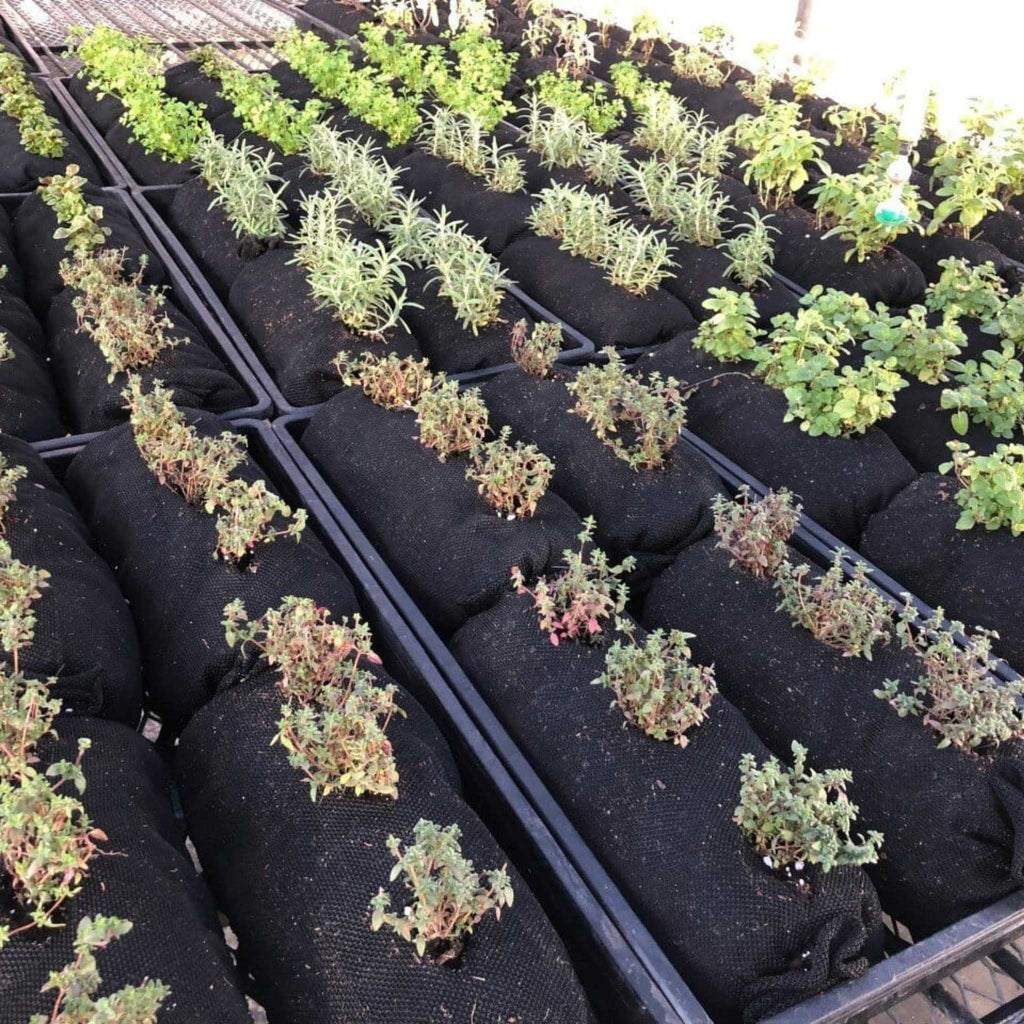 Varden™ Soil-Filled Vardensok