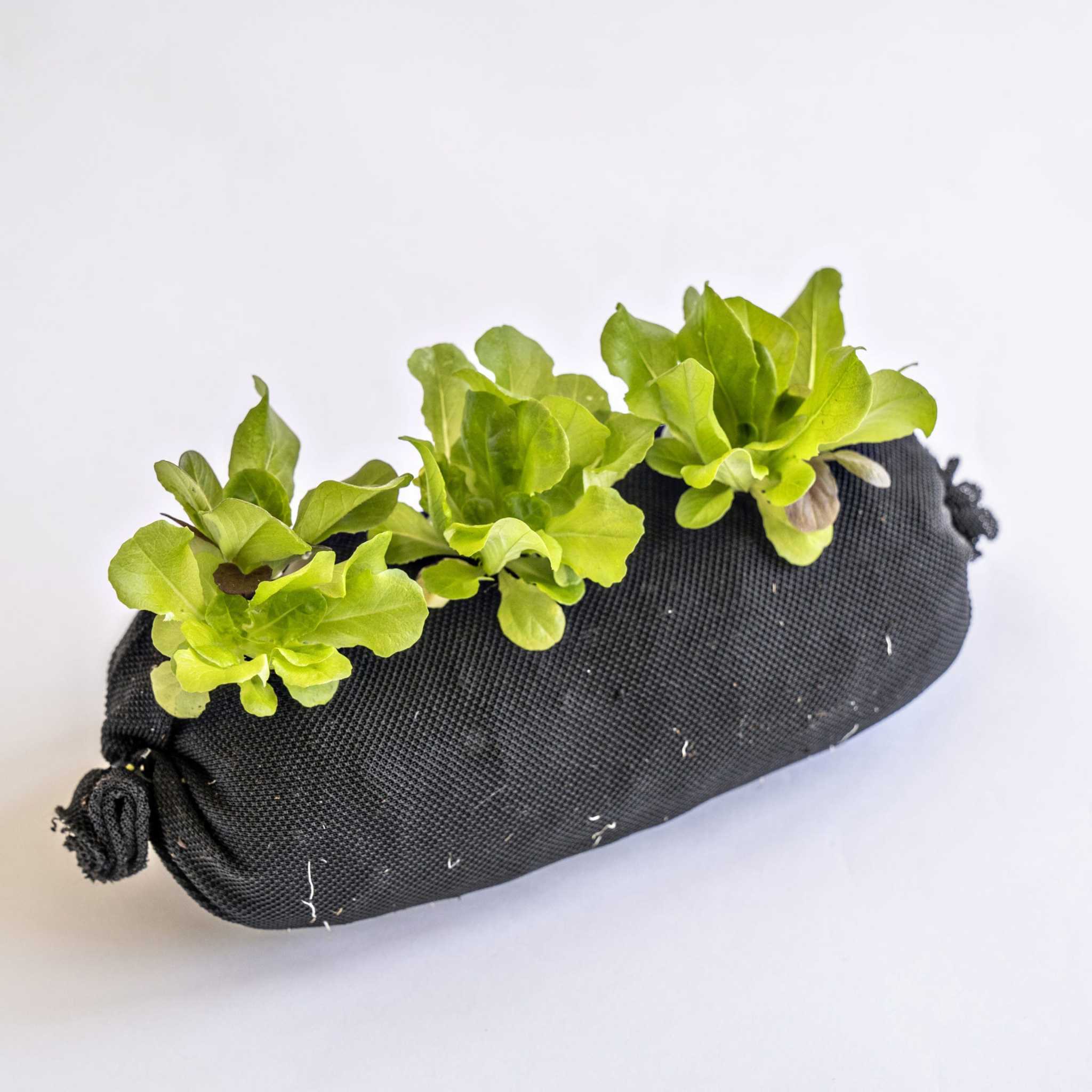 Varden™ Soil-Filled Vardensok