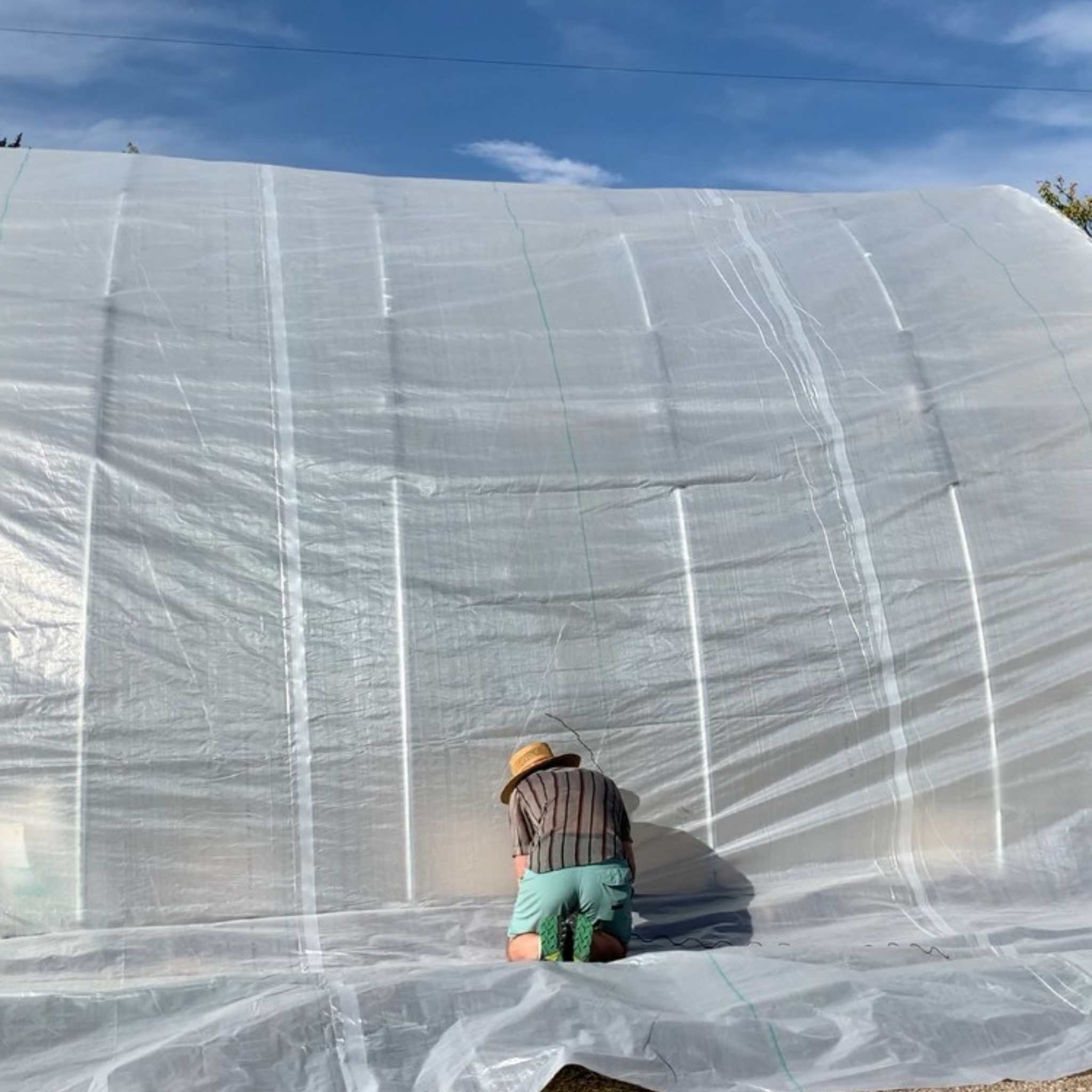 Greenhouse Woven Plastic 11 mil- Solarig 182