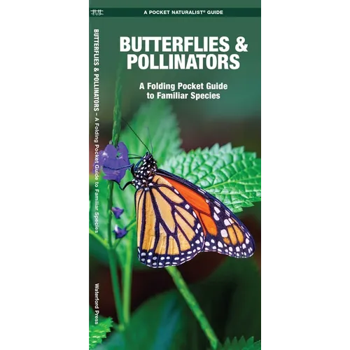Butterflies & Pollinators: A Folding Pocket Guide to Familiar Species - Paperback