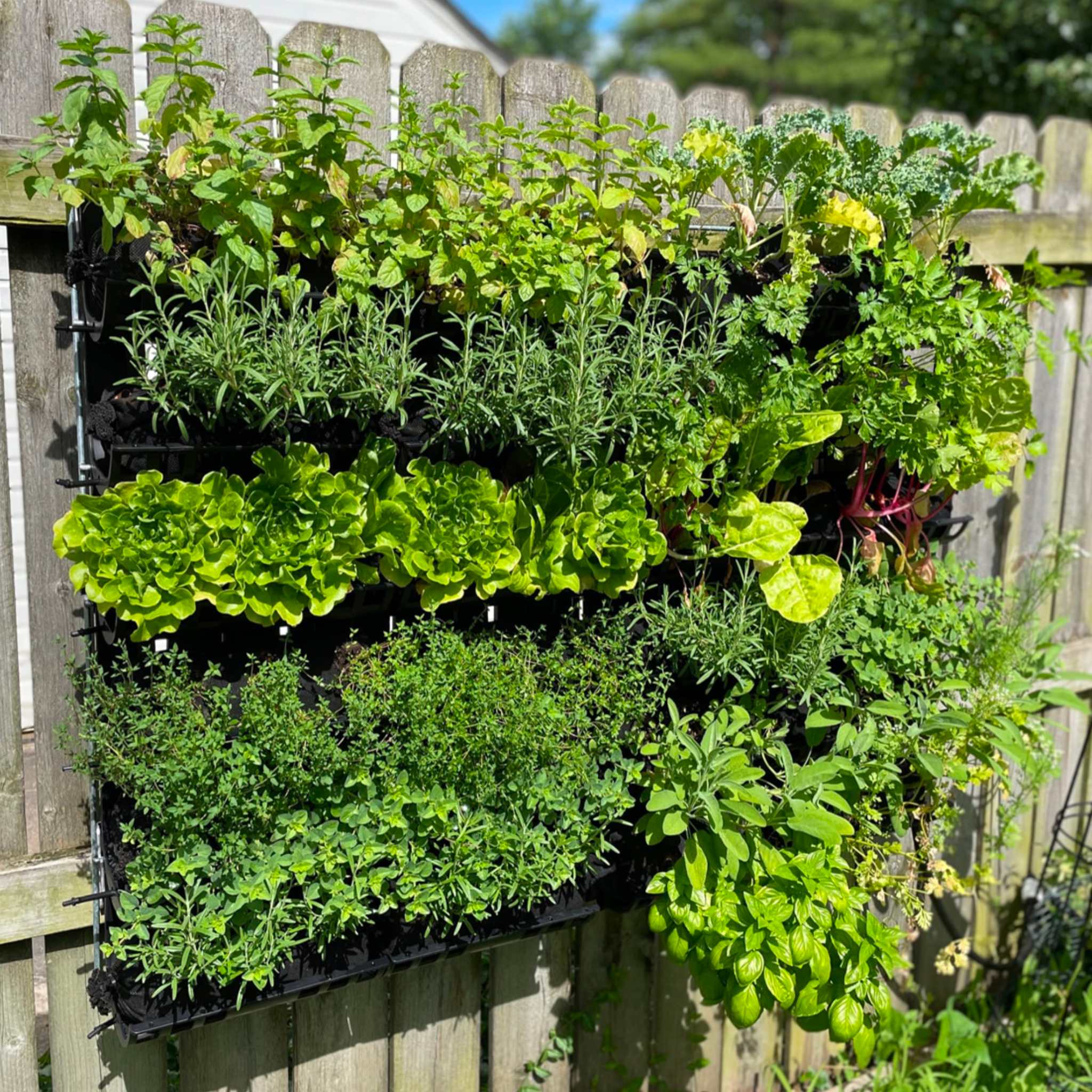 Varden™ Kitchen Garden