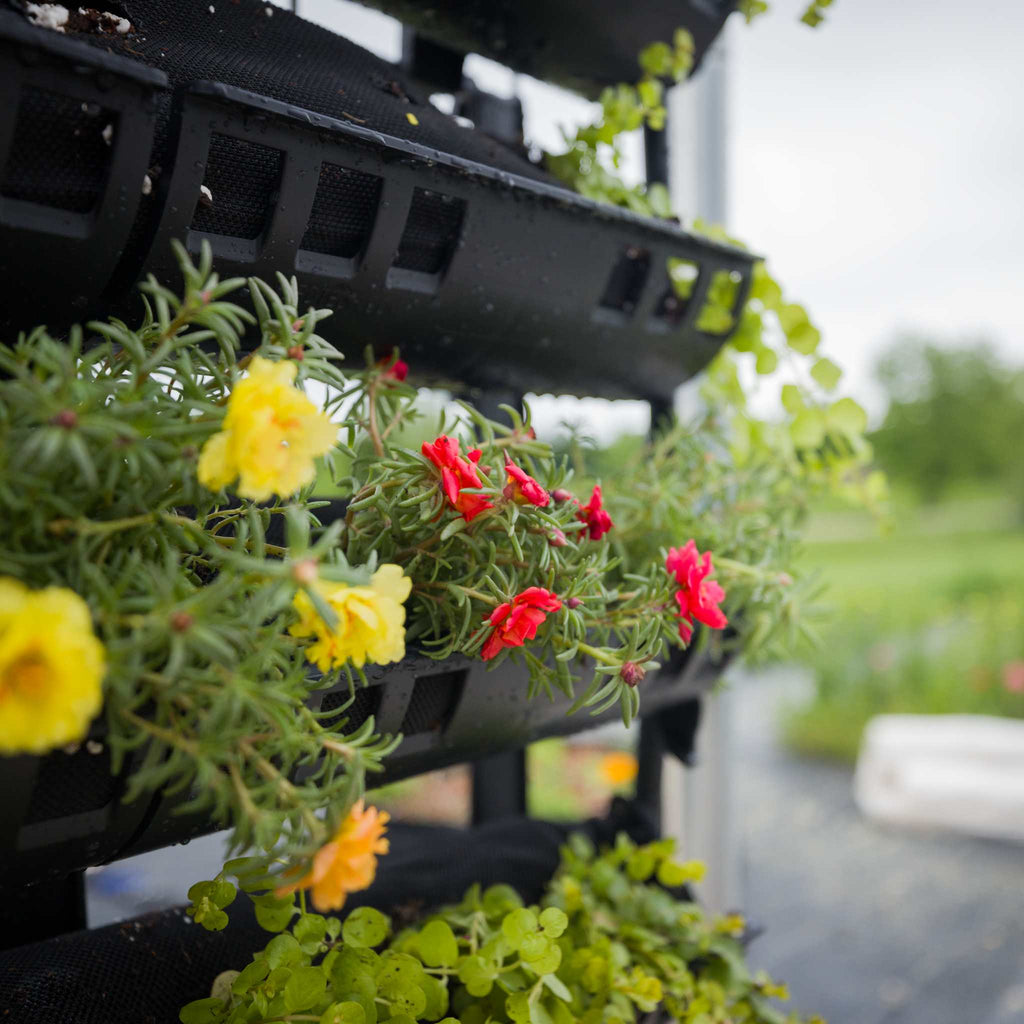 Varden™ Kitchen Garden