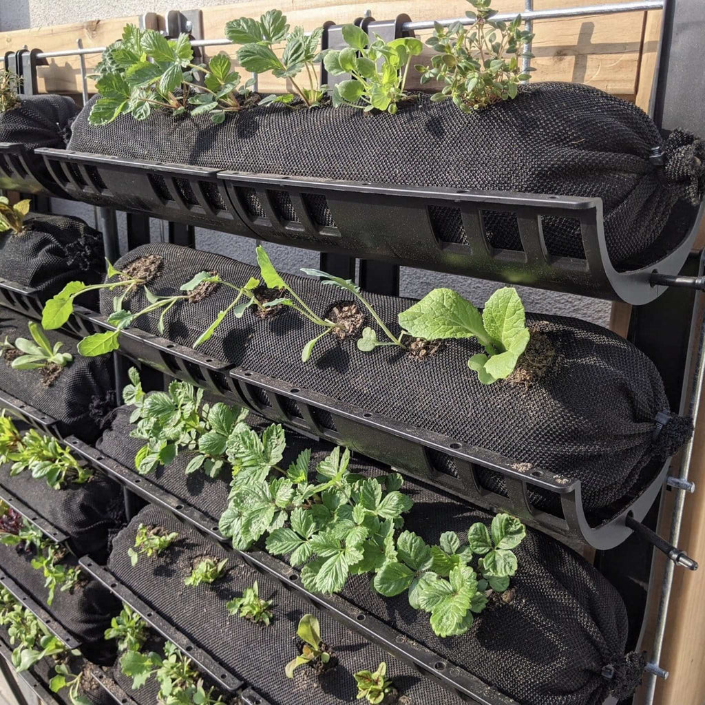 Varden™ Trays