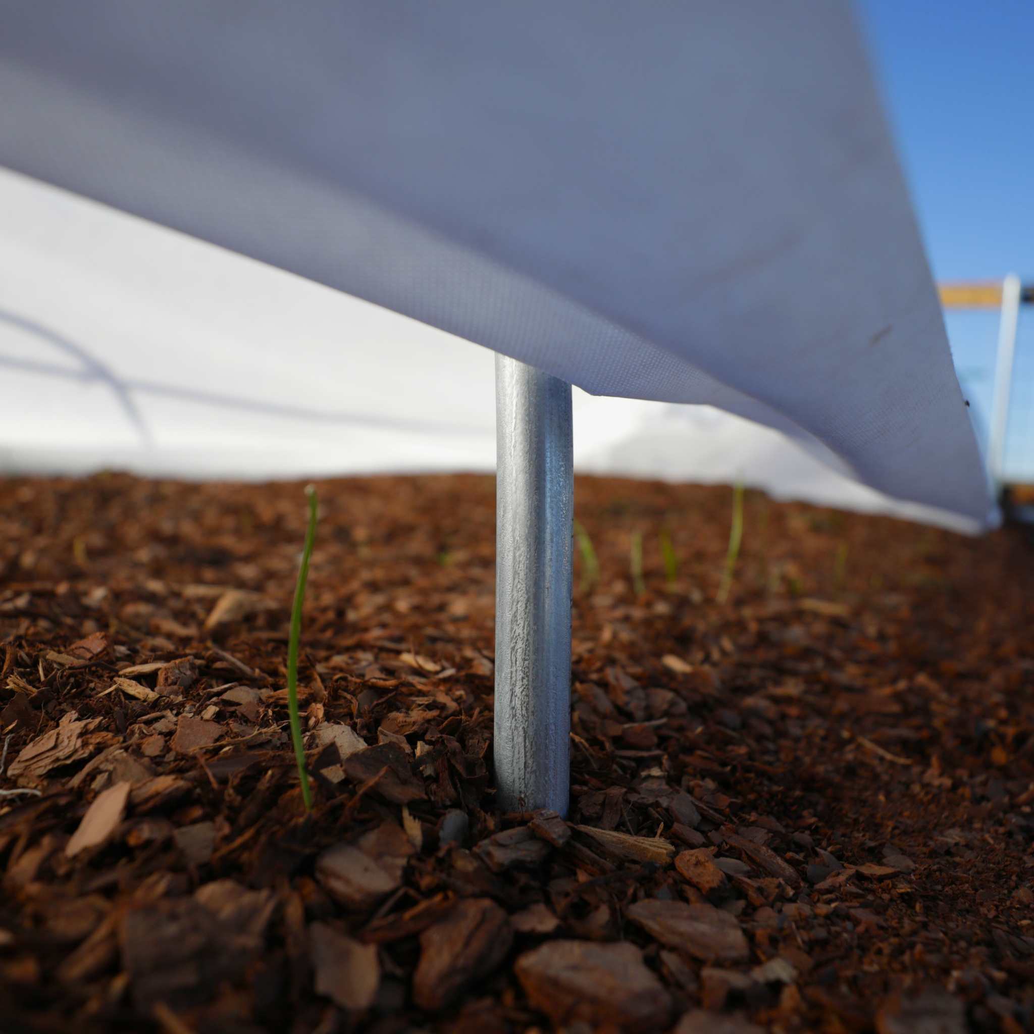Frost Blankets