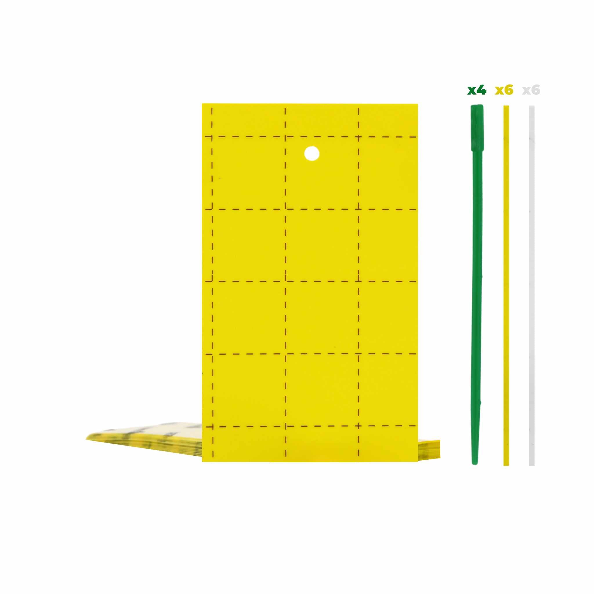 Pest Control Sticky Trap Cards