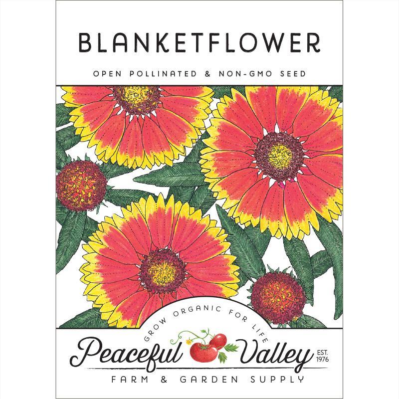 Blanketflower (pack)