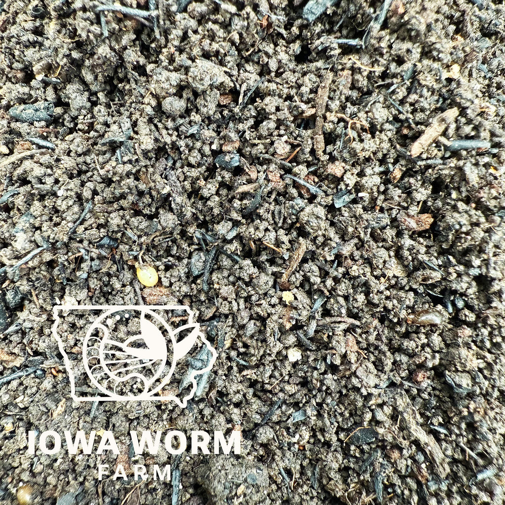 Elmer’s Gold Worm Castings