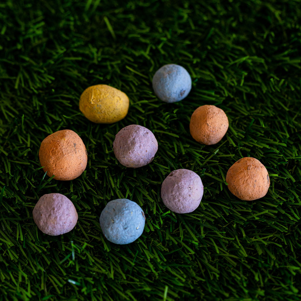 Midwest Wildflower Garden Confetti Seed Balls