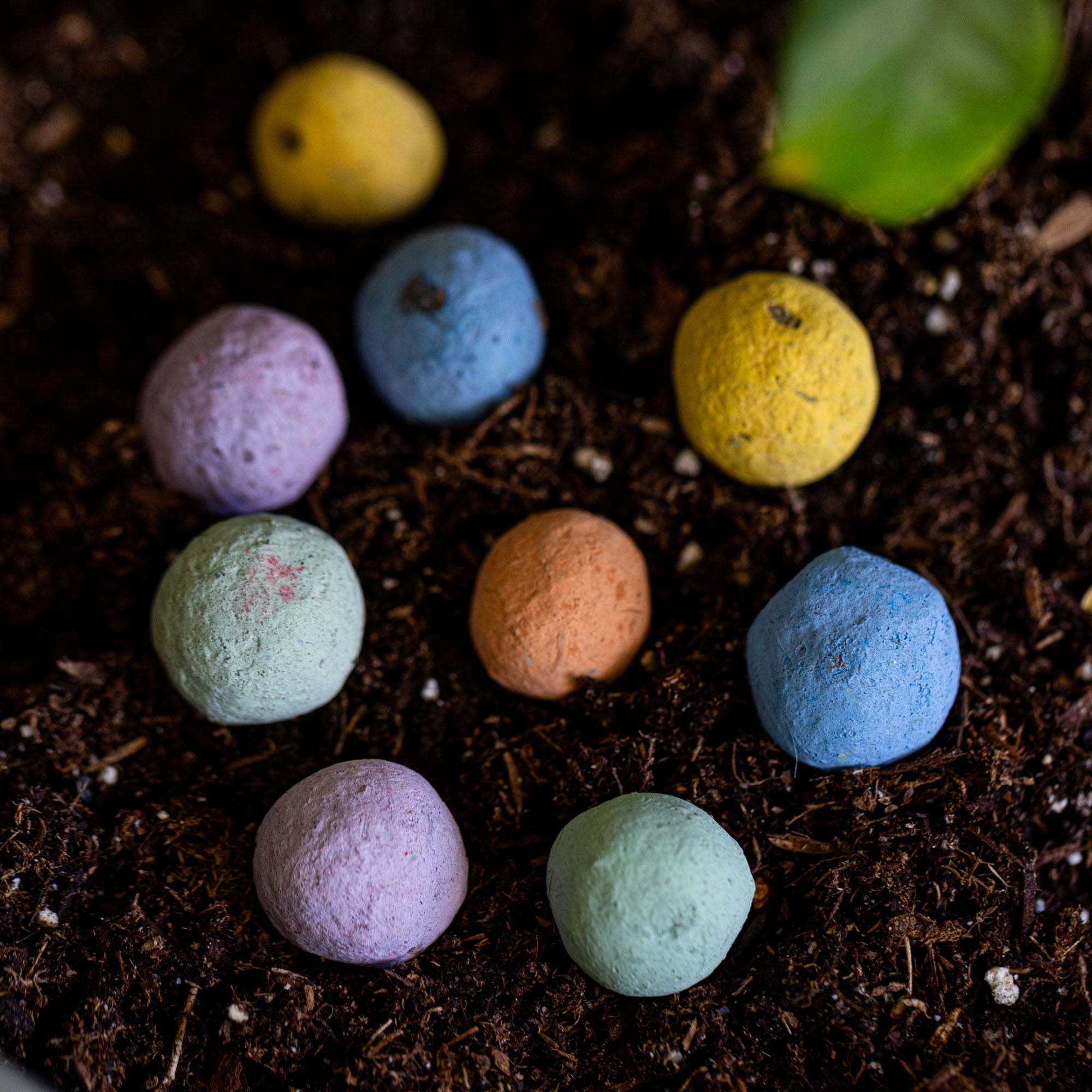Midwest Wildflower Garden Confetti Seed Balls