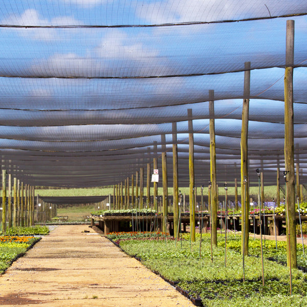 Sungrower Shade Cloth - 40' x 50'